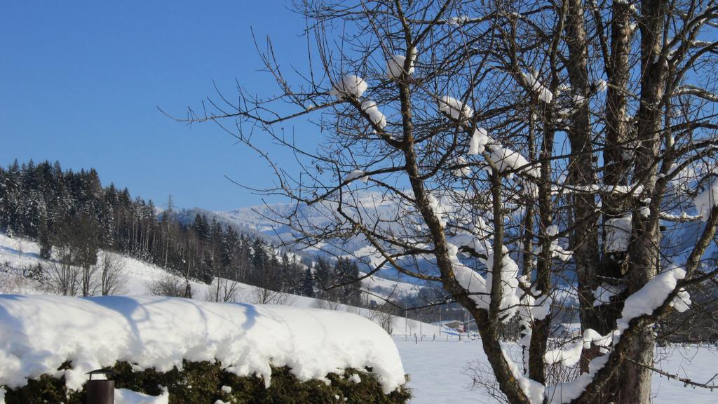 Apartament Ramseiderhof